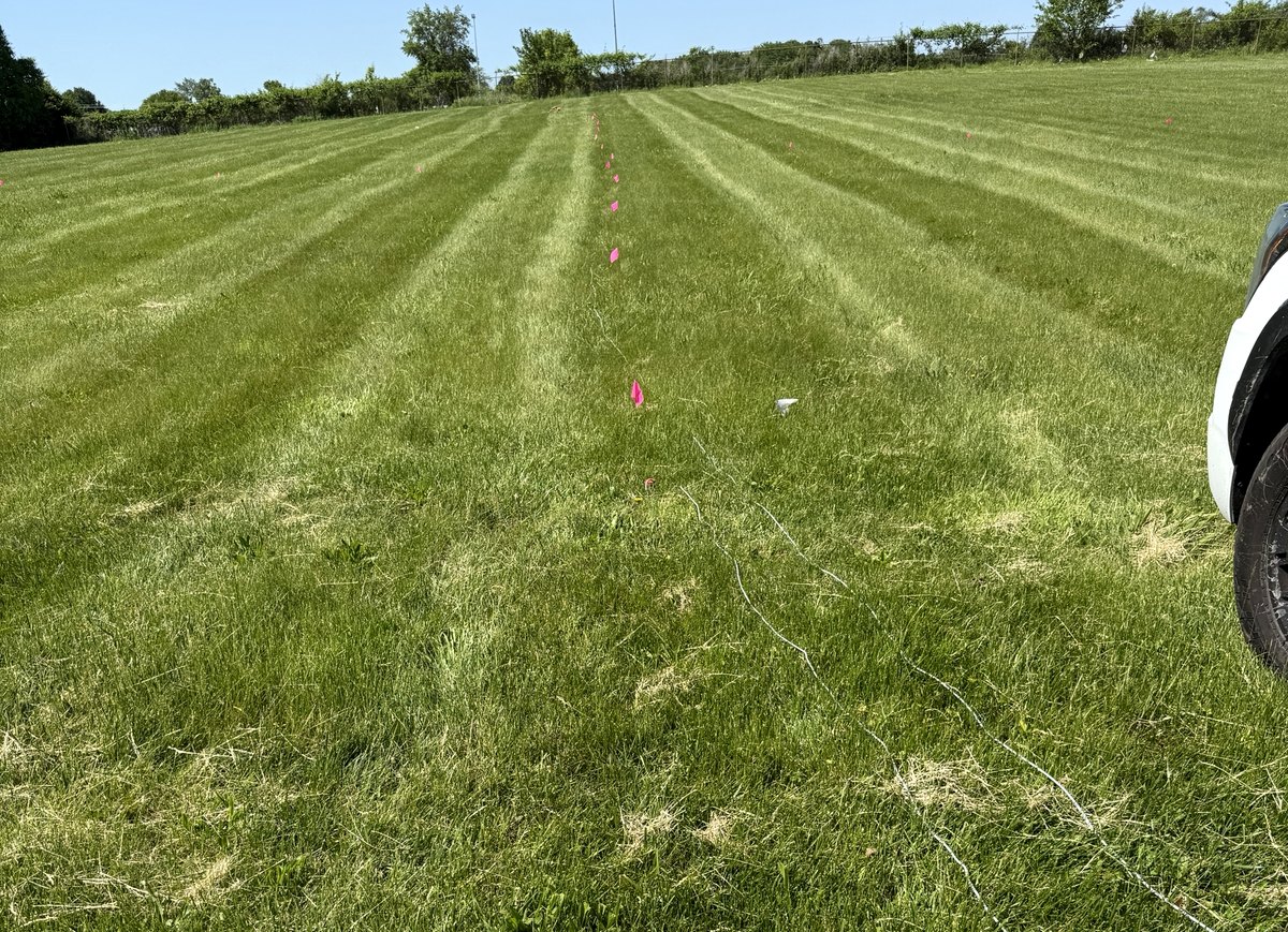 Flagged geophone station positions running away across mown grass, with the seismic cable laid along the line.
