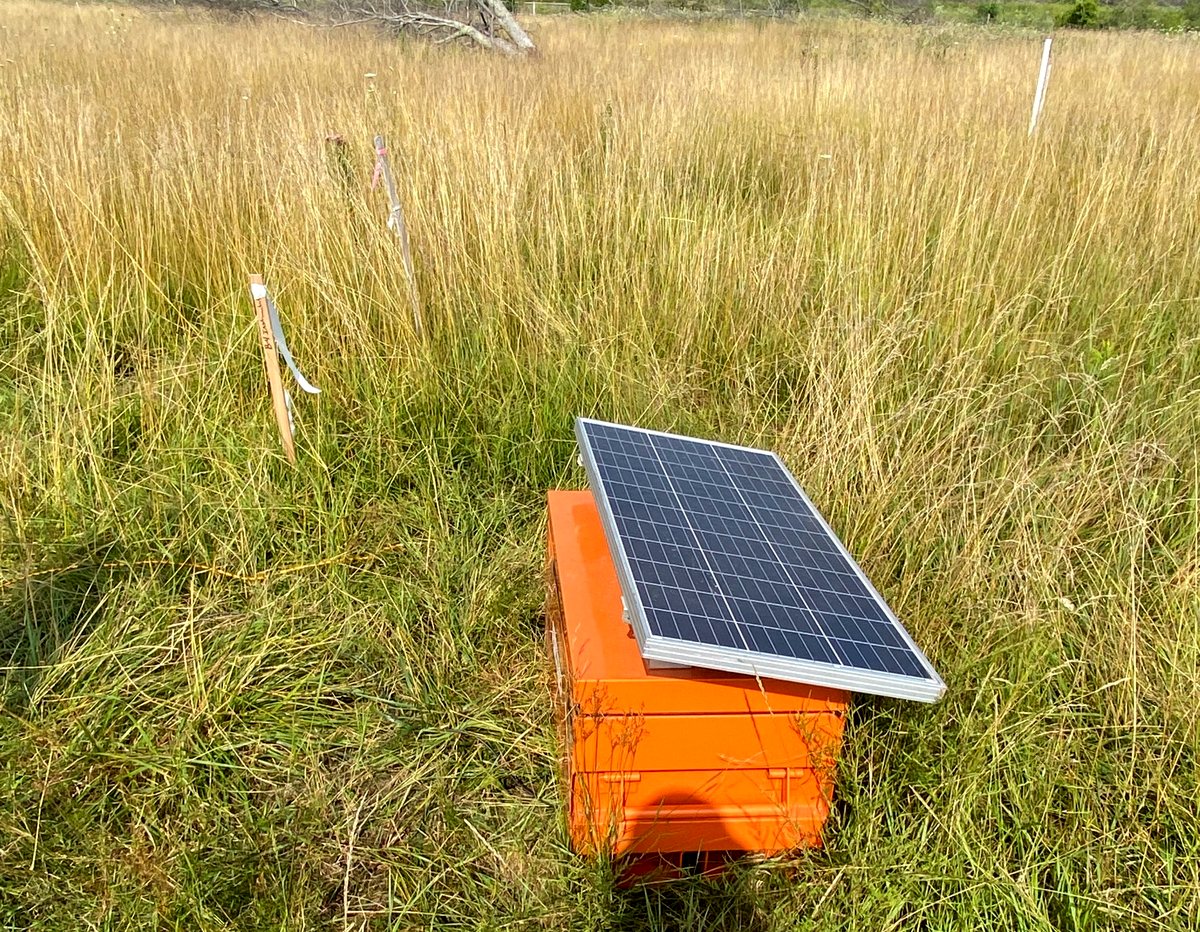 A solar-powered monitoring station in open grassland with a line of surveyed stakes running away from it across the site toward woodland.
